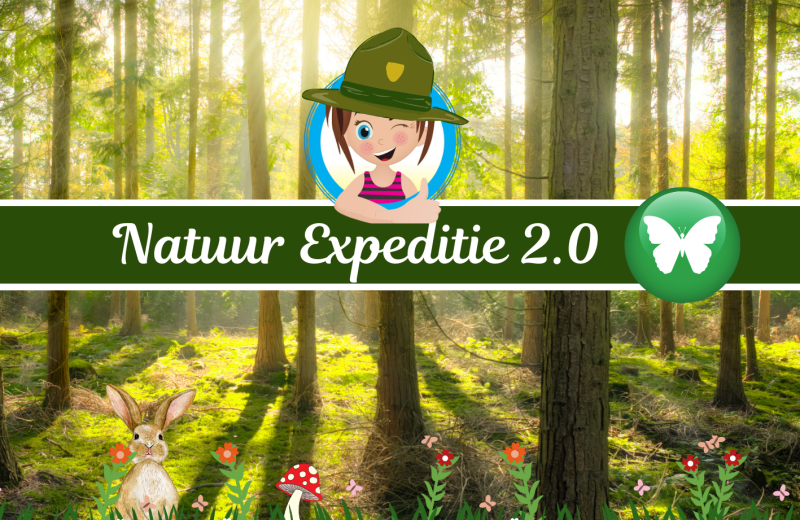 Die verborgenen Spuren von Hitjesvijver